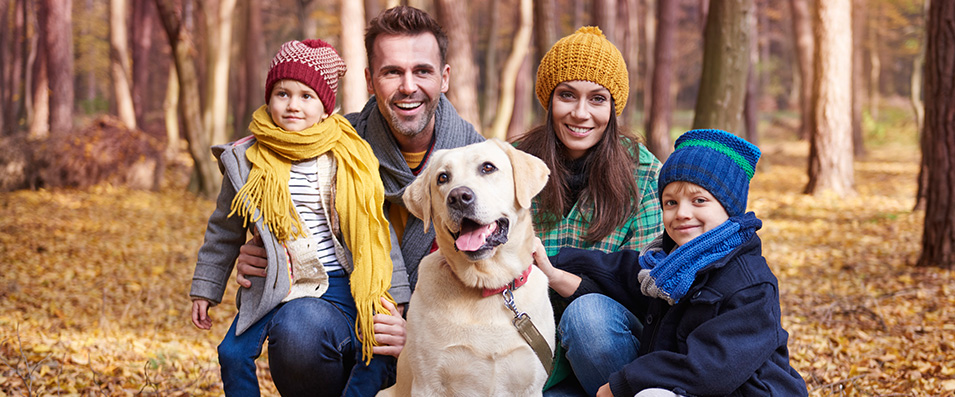 Houses For Sale In Montverde Fl Safety Houses For Sale In Montverde Fl Safety