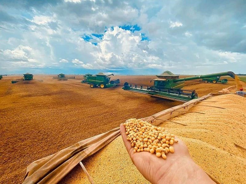 Brazil Agricultural Products Exporters Brazil Agricultural Products Exporters