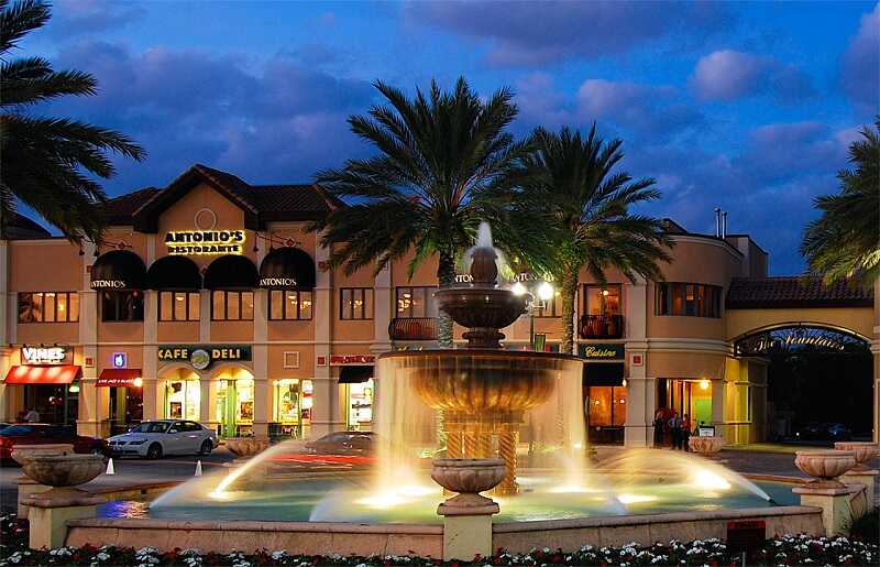 Buy Your Dream Home With Dr. Phillips Fl Realtor