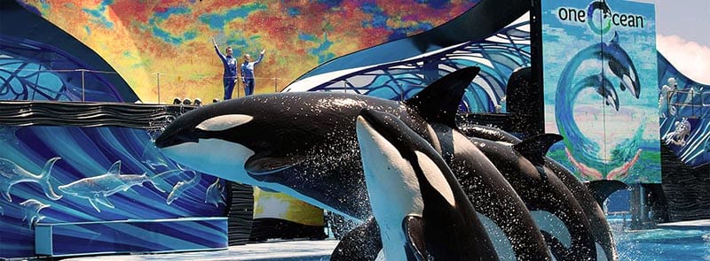 Homes For Sale Near Seaworld Orlando FL