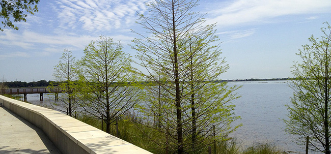 Nature Lovers Take Note Of Kissimmee Vacation Homes For Sale