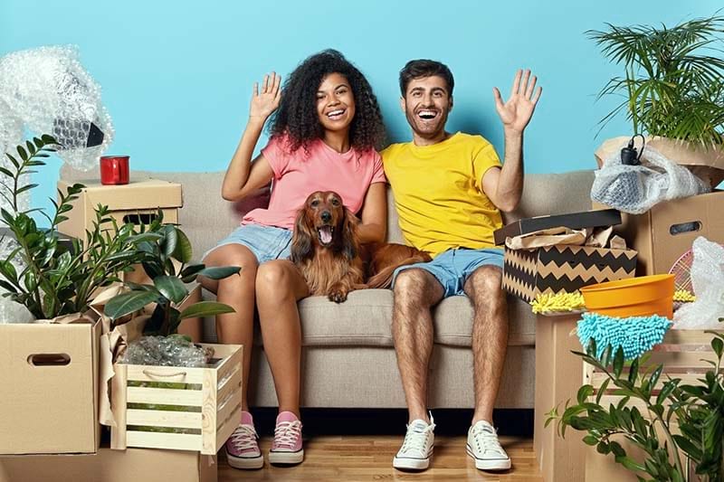 Pet Friendly Homes In Winter Garden fl pet friendly homes in winter garden fl