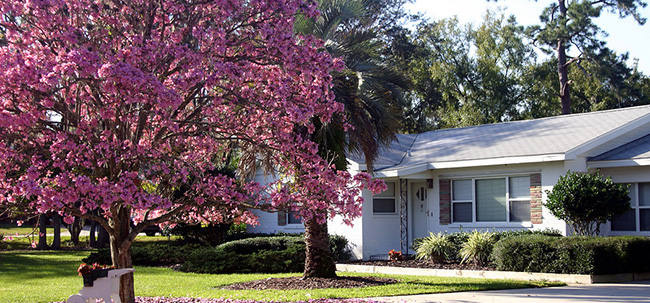 Vacation Homes For Sale In Orlando Florida