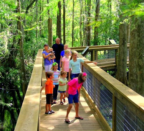 Wild Florida Wildlife Park